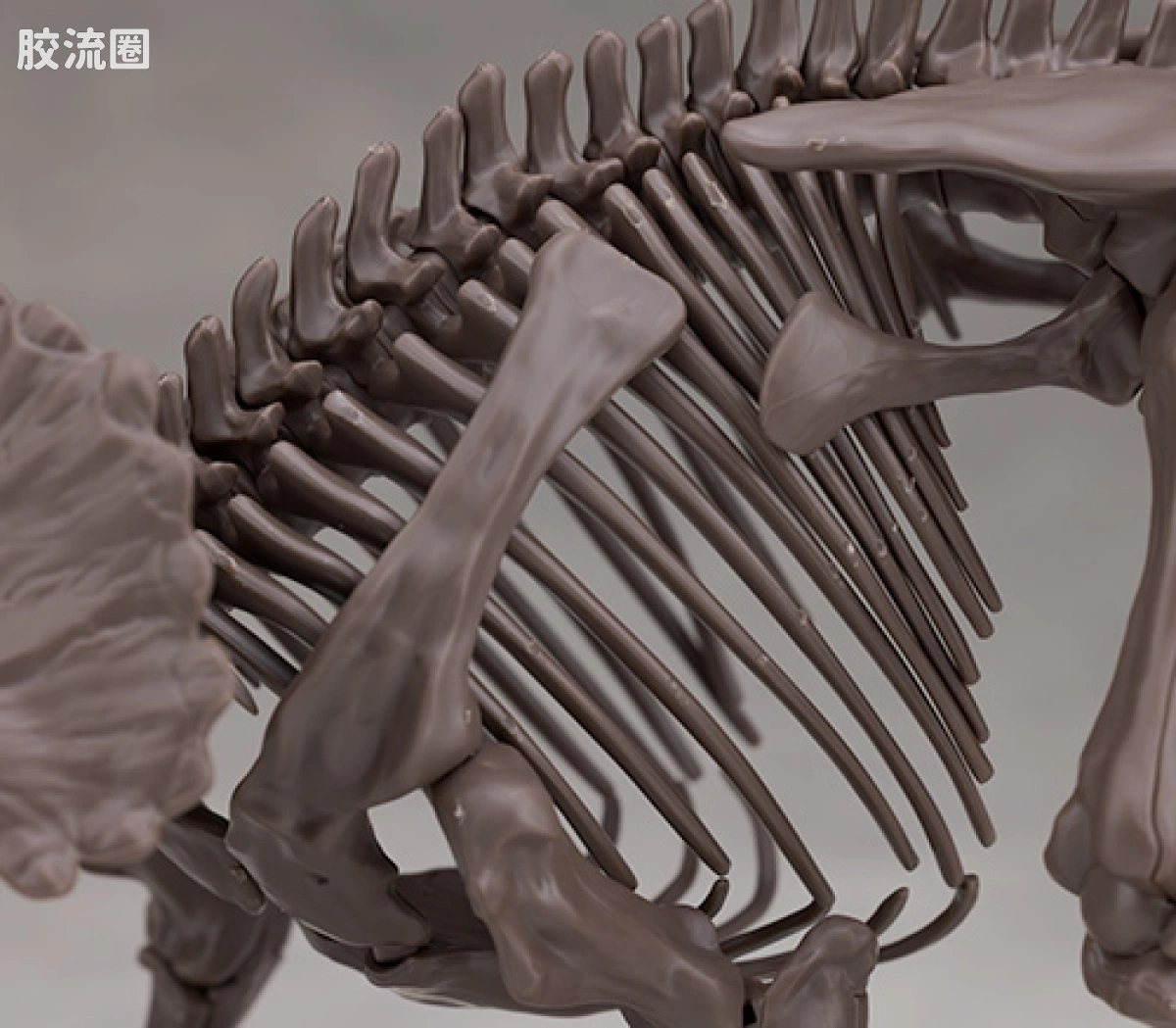 万代综合拼装模型系列 Imaginary Skeleton系列 三角龙 - 图片